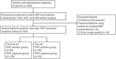 Prediction of TERT mutation status in gliomas using conventional MRI radiogenomic features